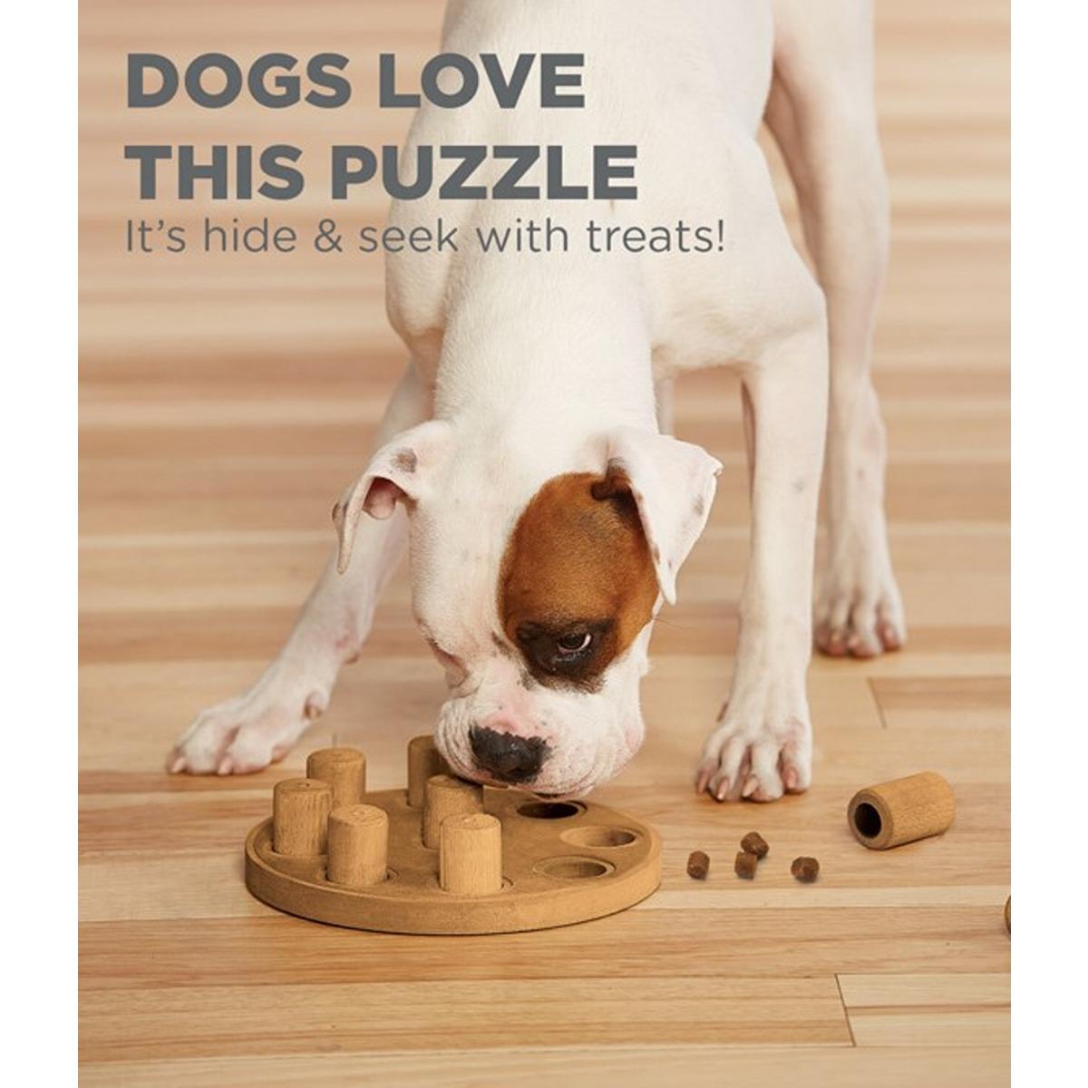 Nina Ottosson Smart Interactive Treat Puzzle Dog Toy