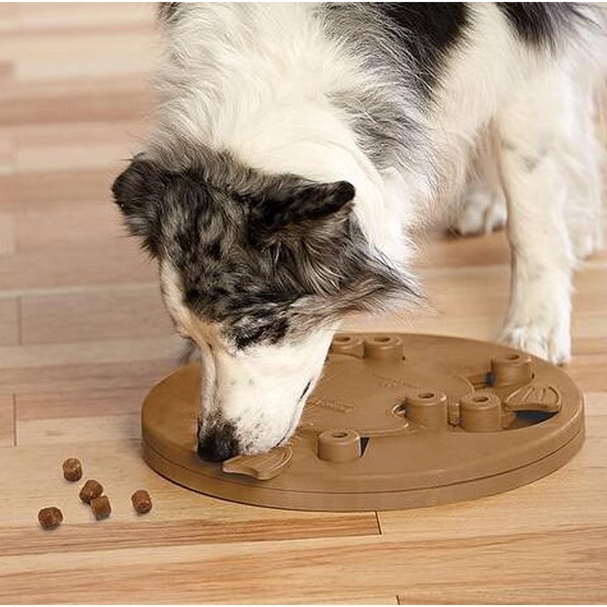 Nina Ottosson Dog Worker Treat Puzzle Dog Toy