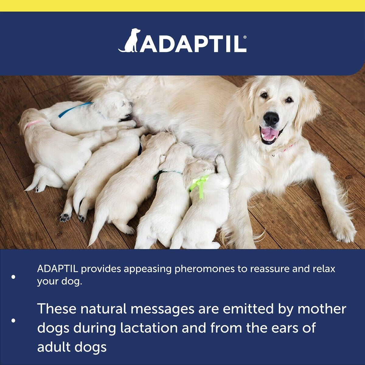 Adaptil Dog Calming Transport Spray