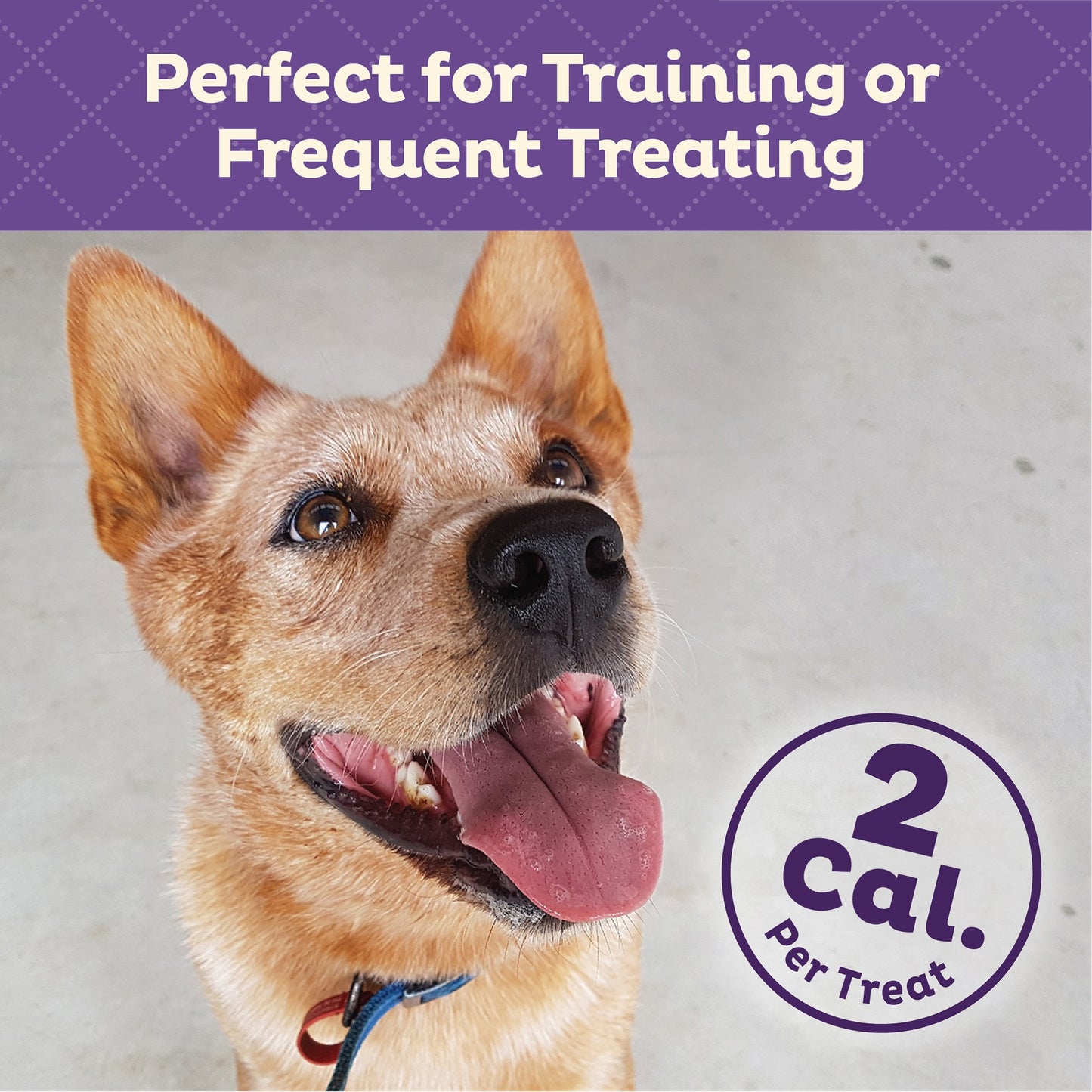 Old Mother Hubbard Training Bitz Assorted Dog Treats