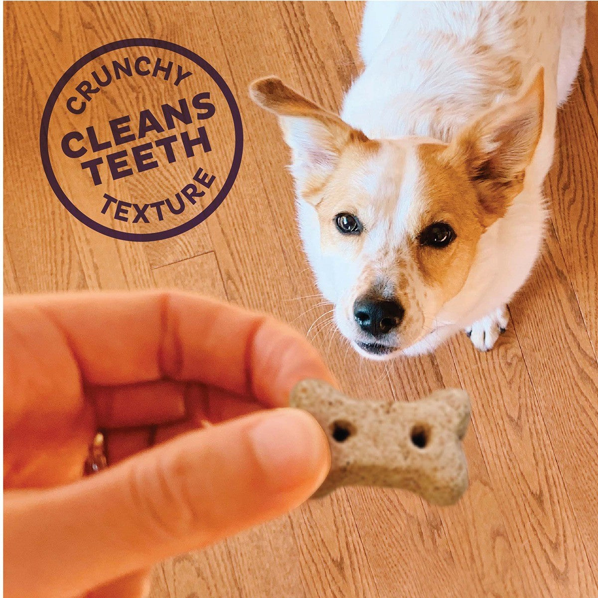 Old Mother Hubbard Hip & Joint Dog Treat