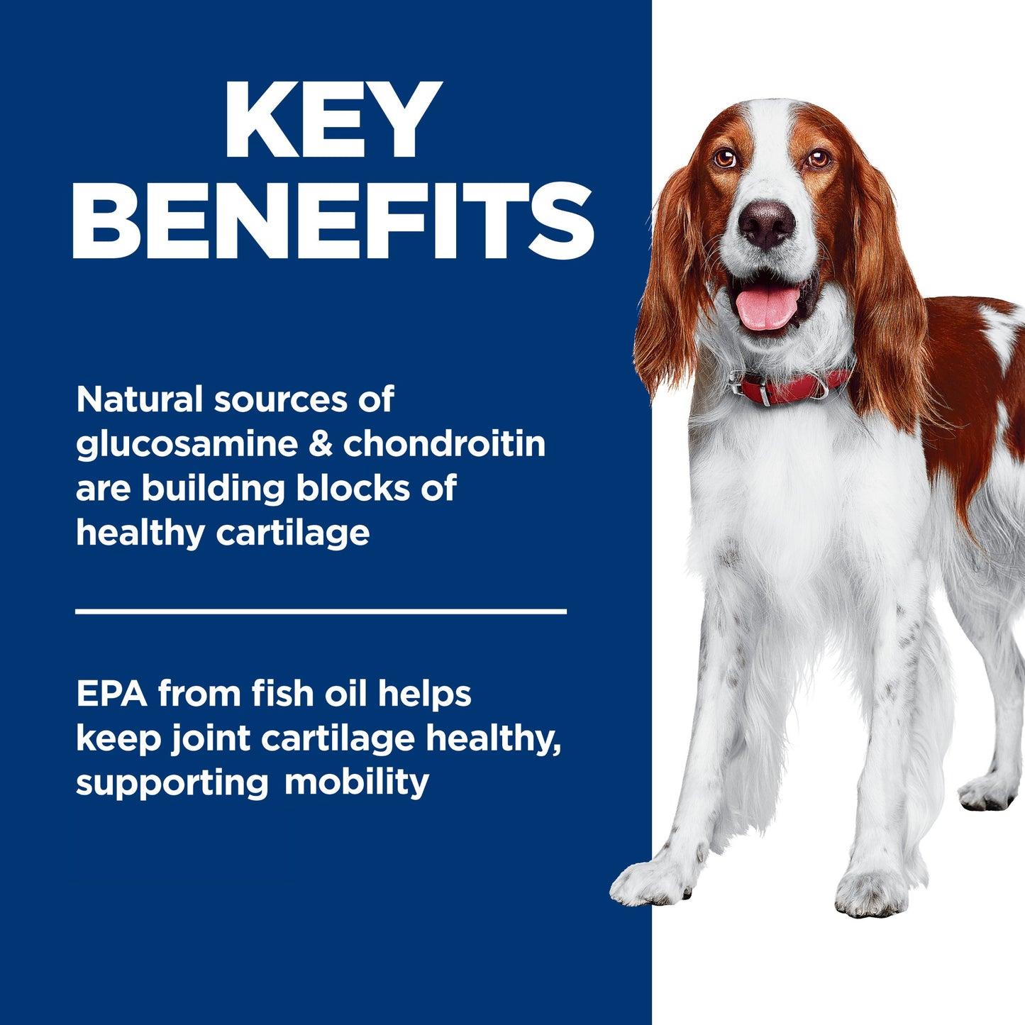 Hills Science Diet Adult Healthy Mobility Dry Dog Food