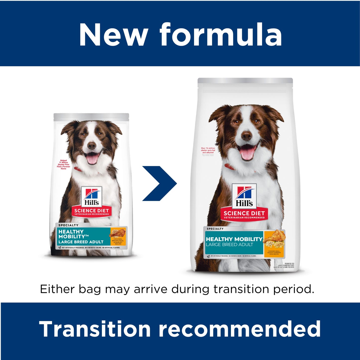 Hills Science Diet Healthy Mobility Large Breed Dry Dog Food