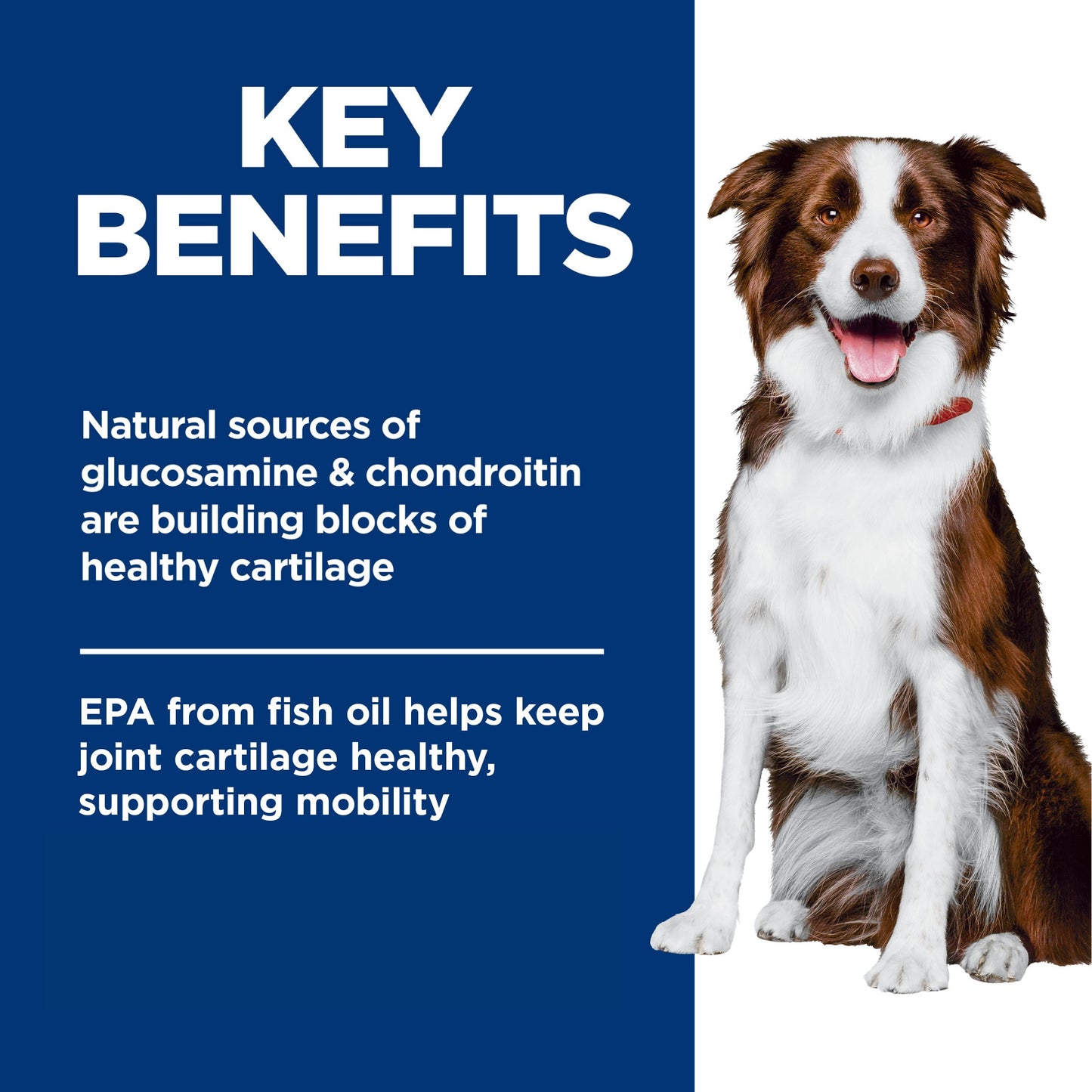 Hills Science Diet Healthy Mobility Large Breed Dry Dog Food