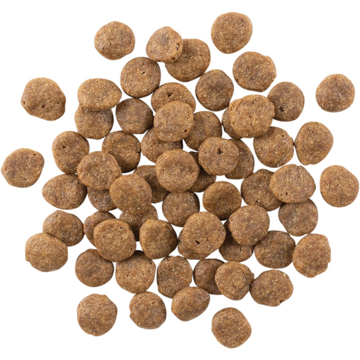 Go! Solutions SENSITIVITIES Diet Grain Free Salmon Dry Dog Food