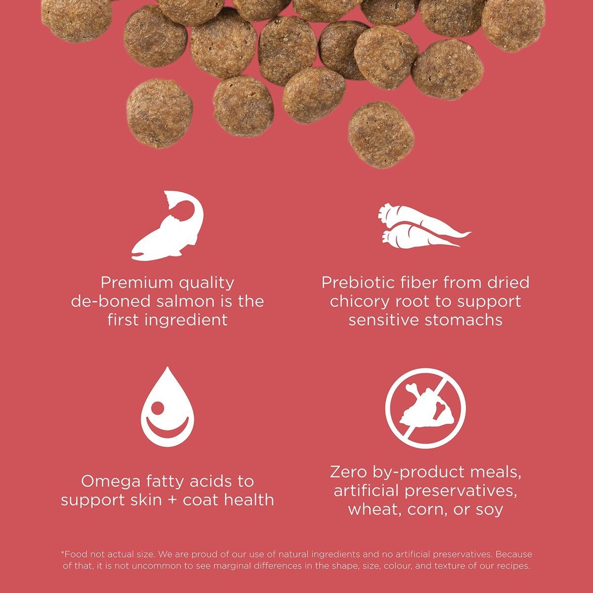 Go! Solutions SENSITIVITIES Diet Grain Free Salmon Dry Dog Food