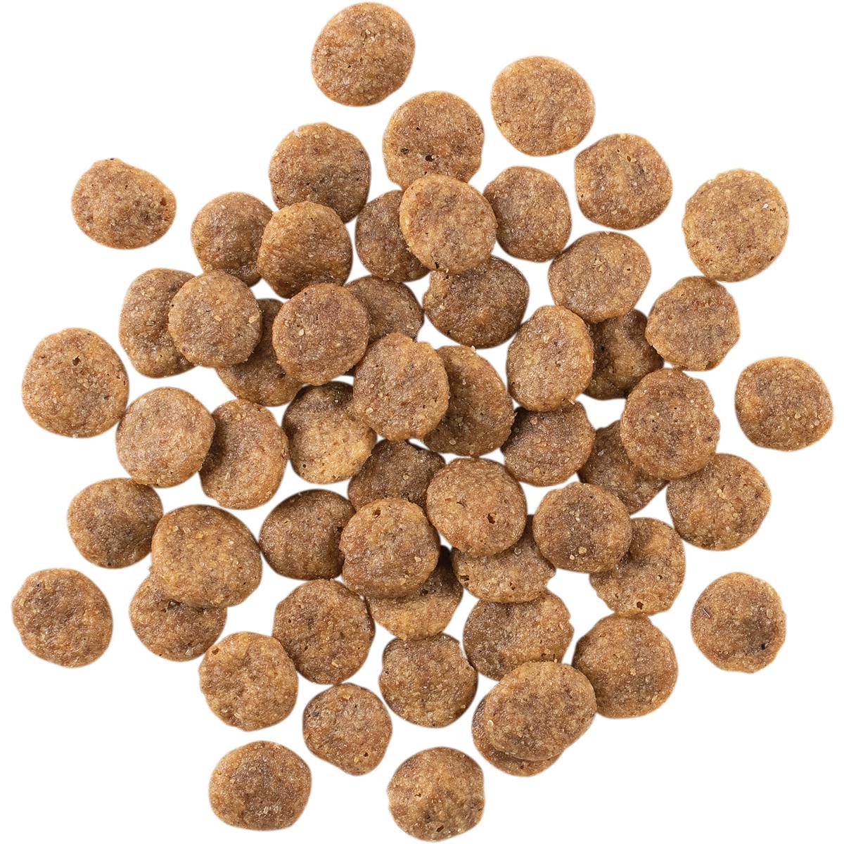 Go! Solutions SENSITIVITIES Diet Grain Free Venison Dry Dog Food