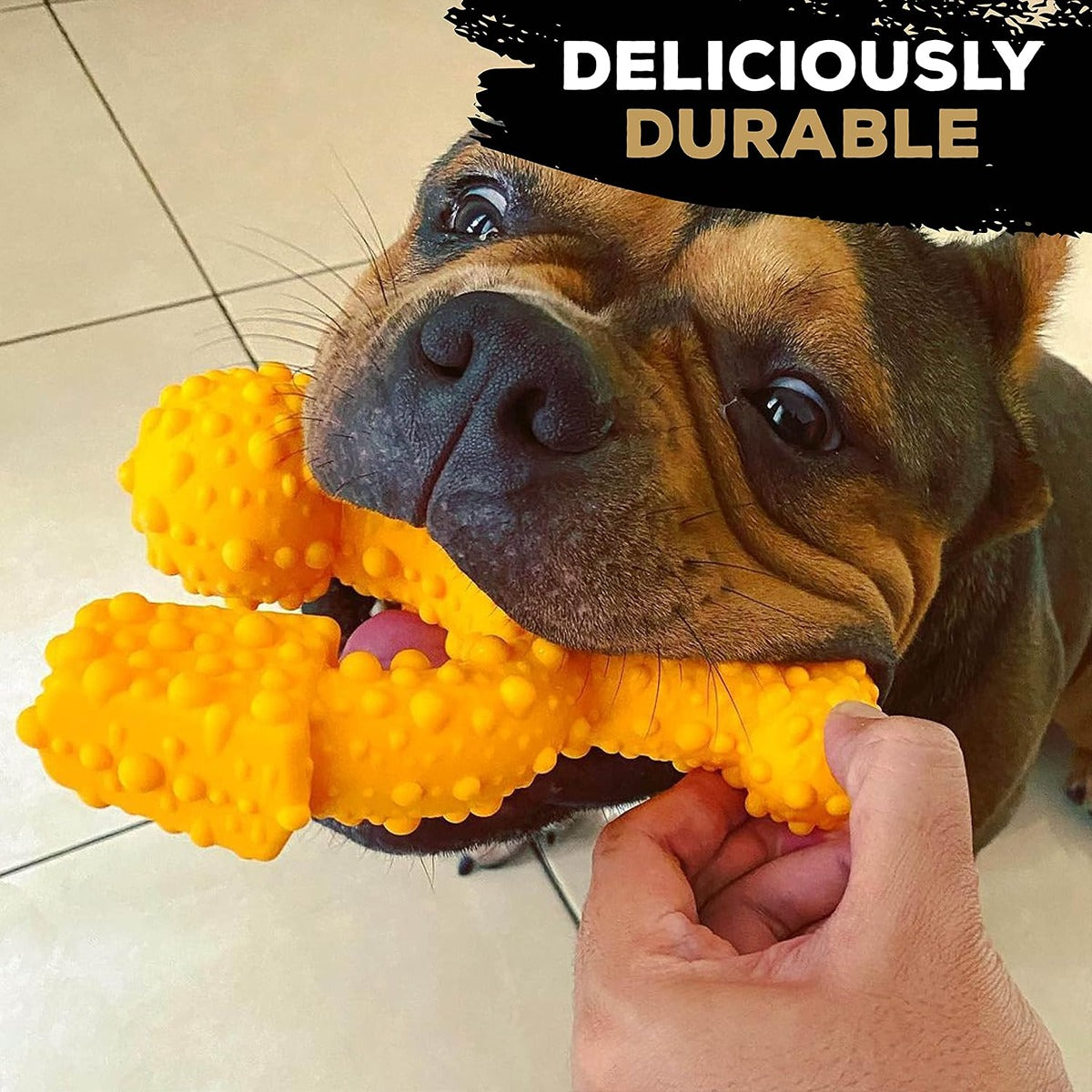 Tasty Bone Trio Chicken Dog Chew Toy