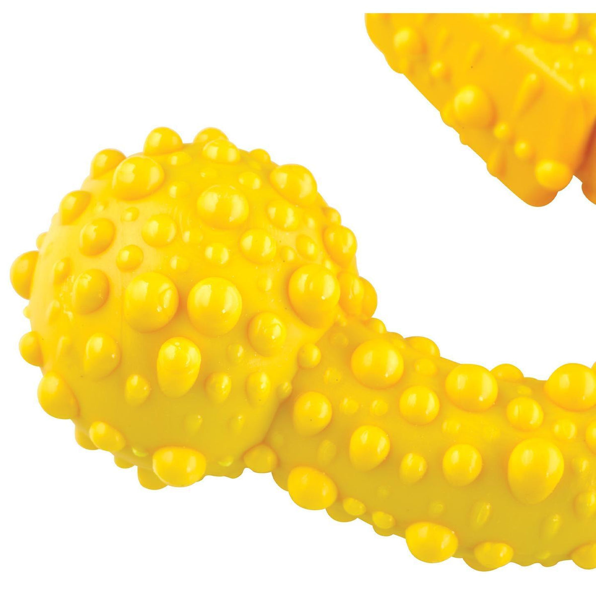 Tasty Bone Trio Chicken Dog Chew Toy