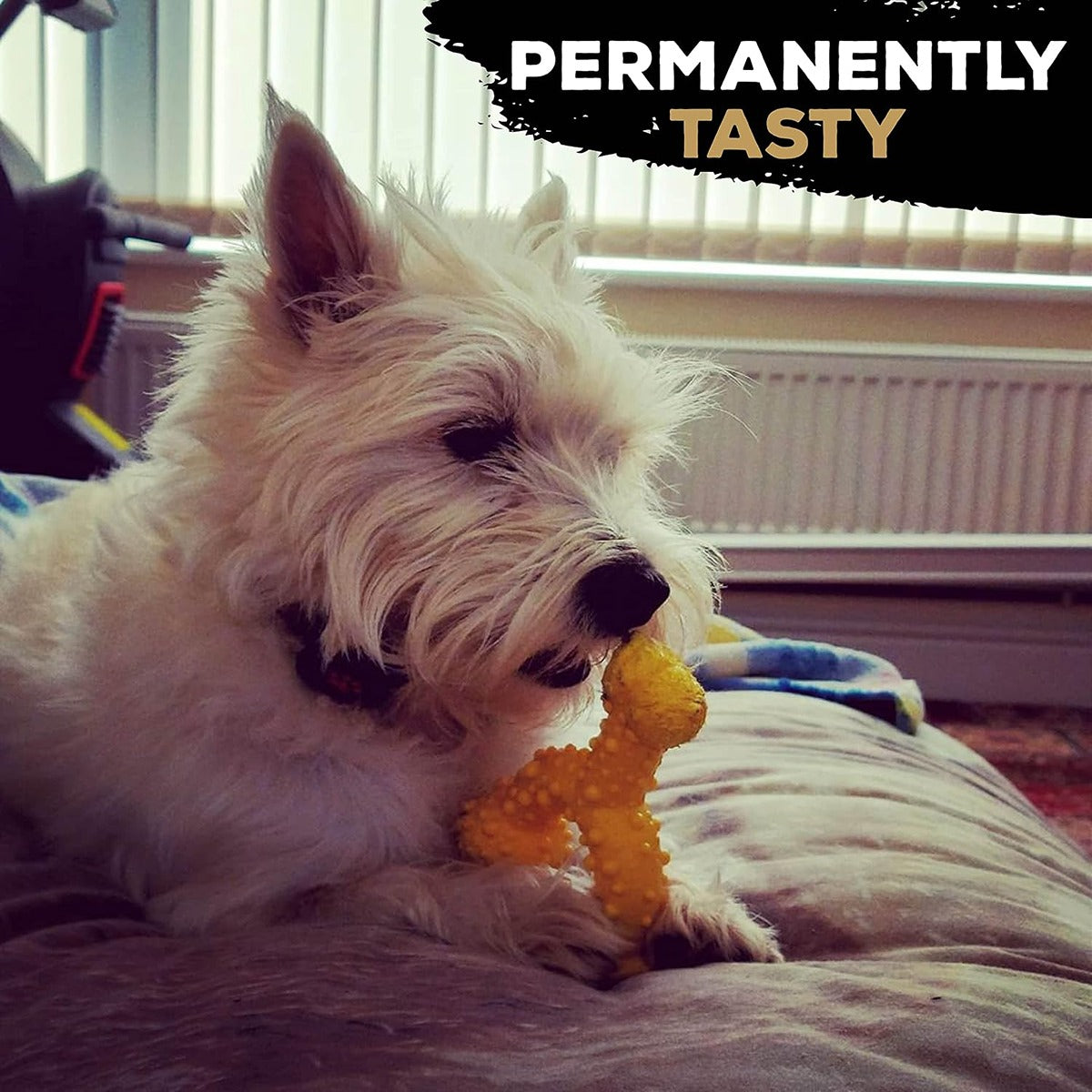Tasty Bone Trio Chicken Dog Chew Toy