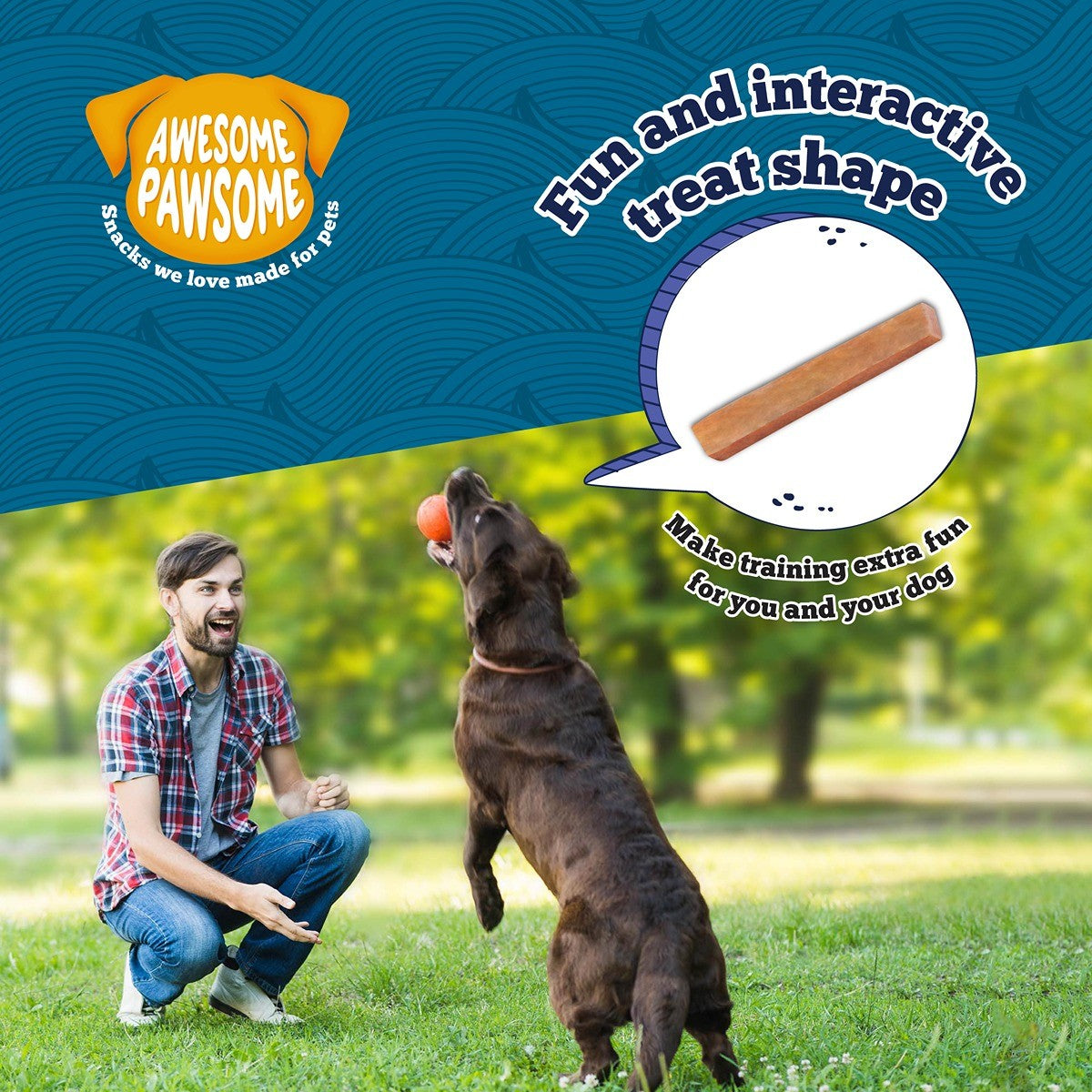 Awesome Pawsome Supreme Salmon Dog Treats