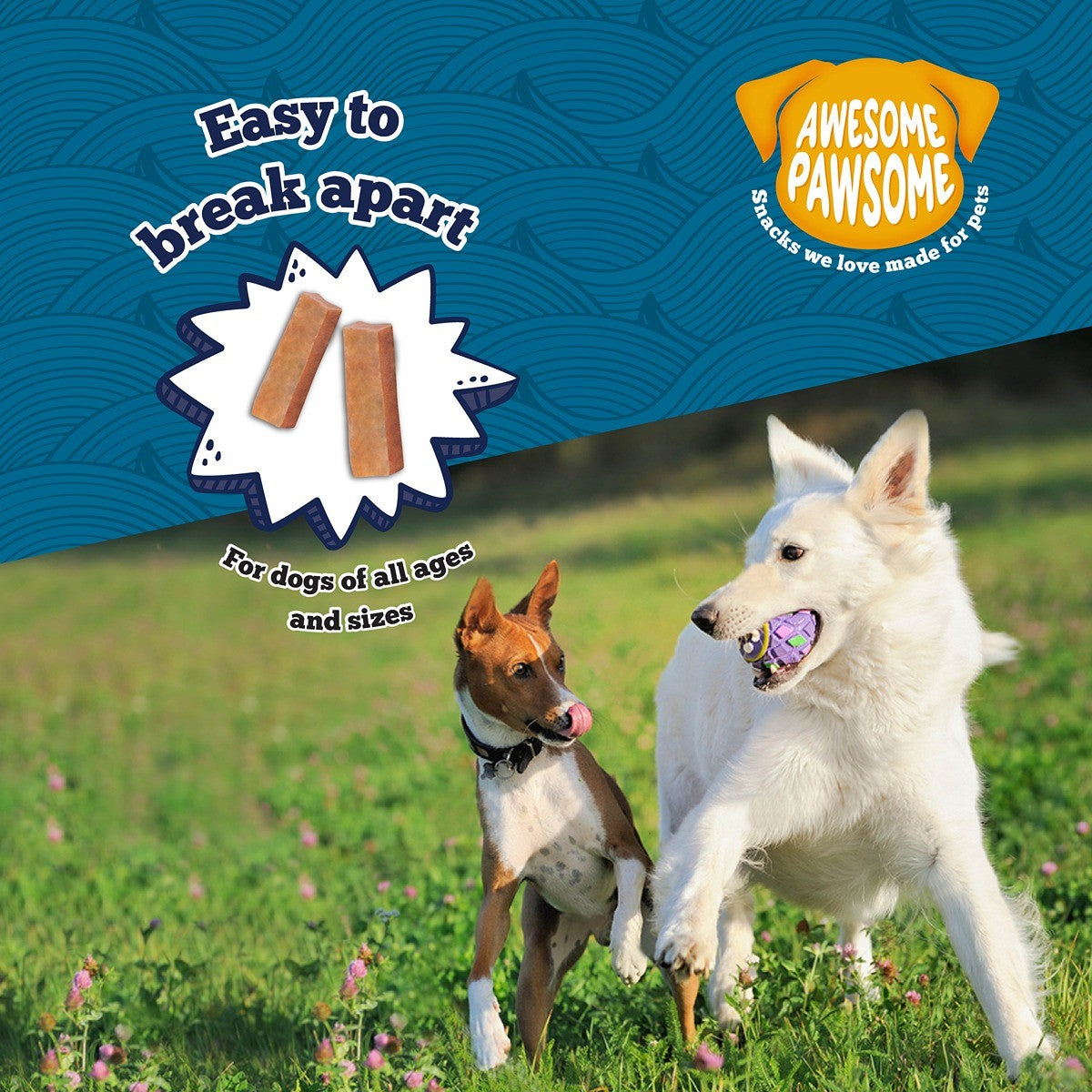 Awesome Pawsome Supreme Salmon Dog Treats