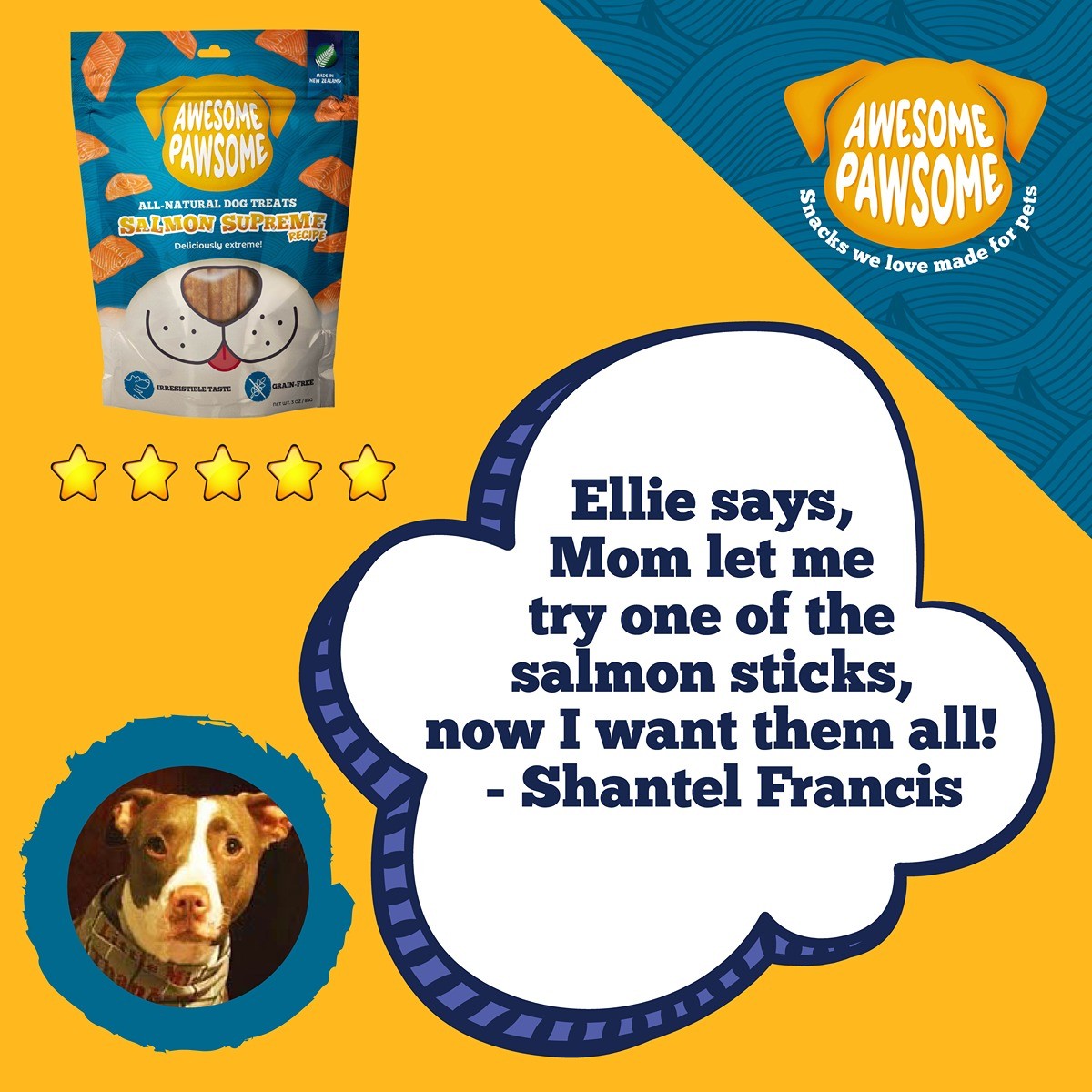 Awesome Pawsome Supreme Salmon Dog Treats