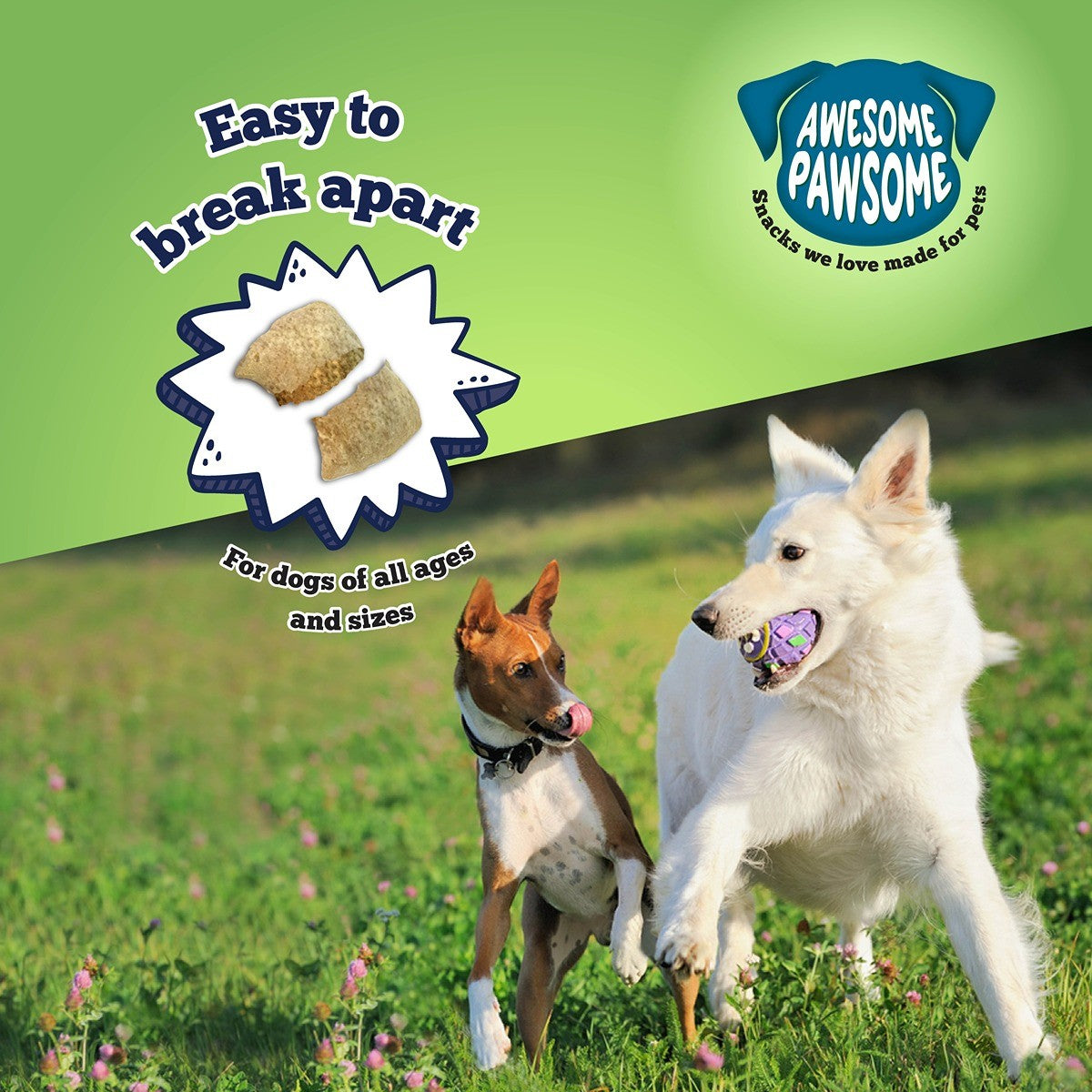 Awesome Pawsome Chicken Dumpling Dog Treats