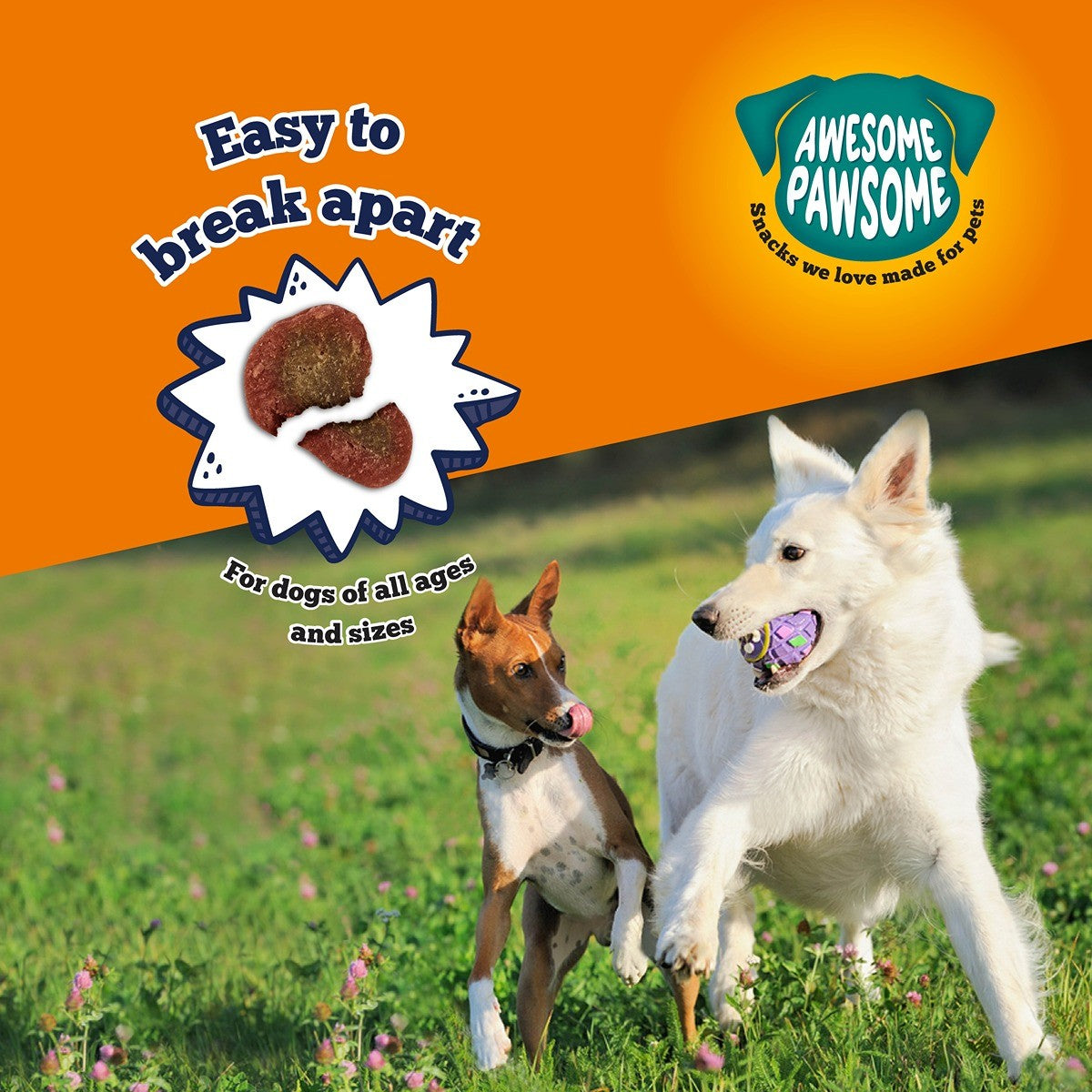 Awesome Pawsome Beefy Bites Dog Treats