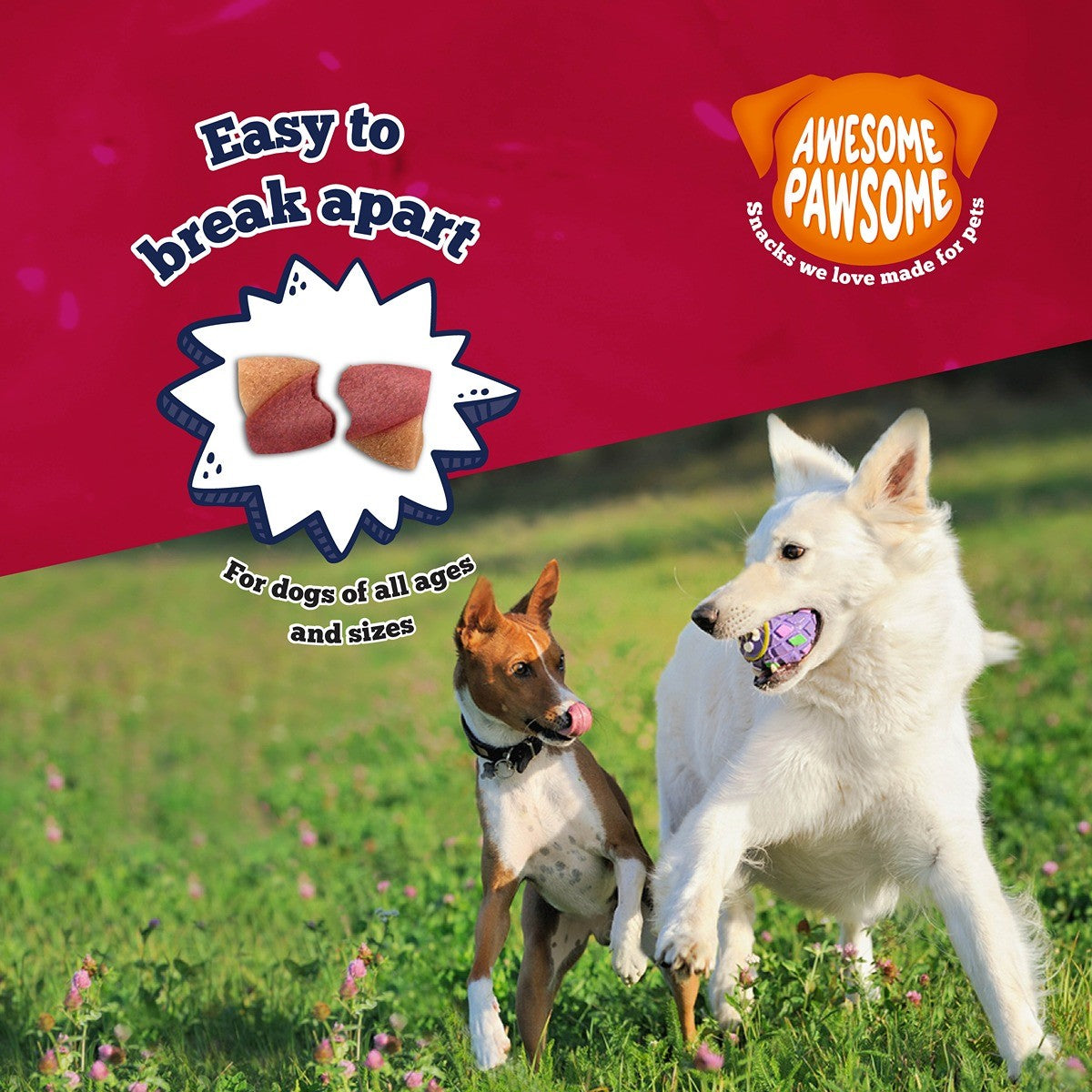 Awesome Pawsome Peanut Butter & Cranberry Dog Treats