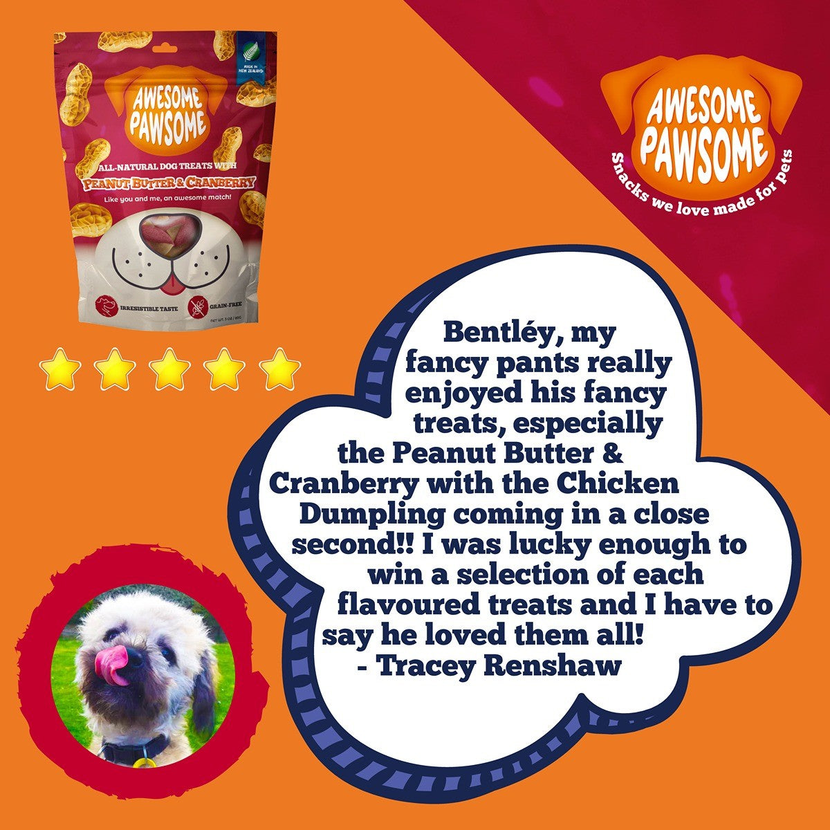 Awesome Pawsome Peanut Butter & Cranberry Dog Treats