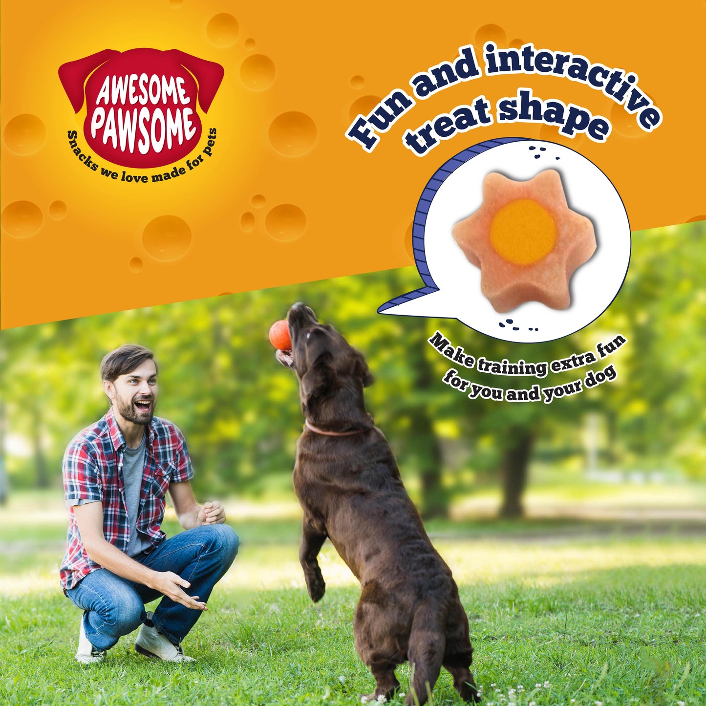 Awesome Pawsome Baconmania Dog  Treats