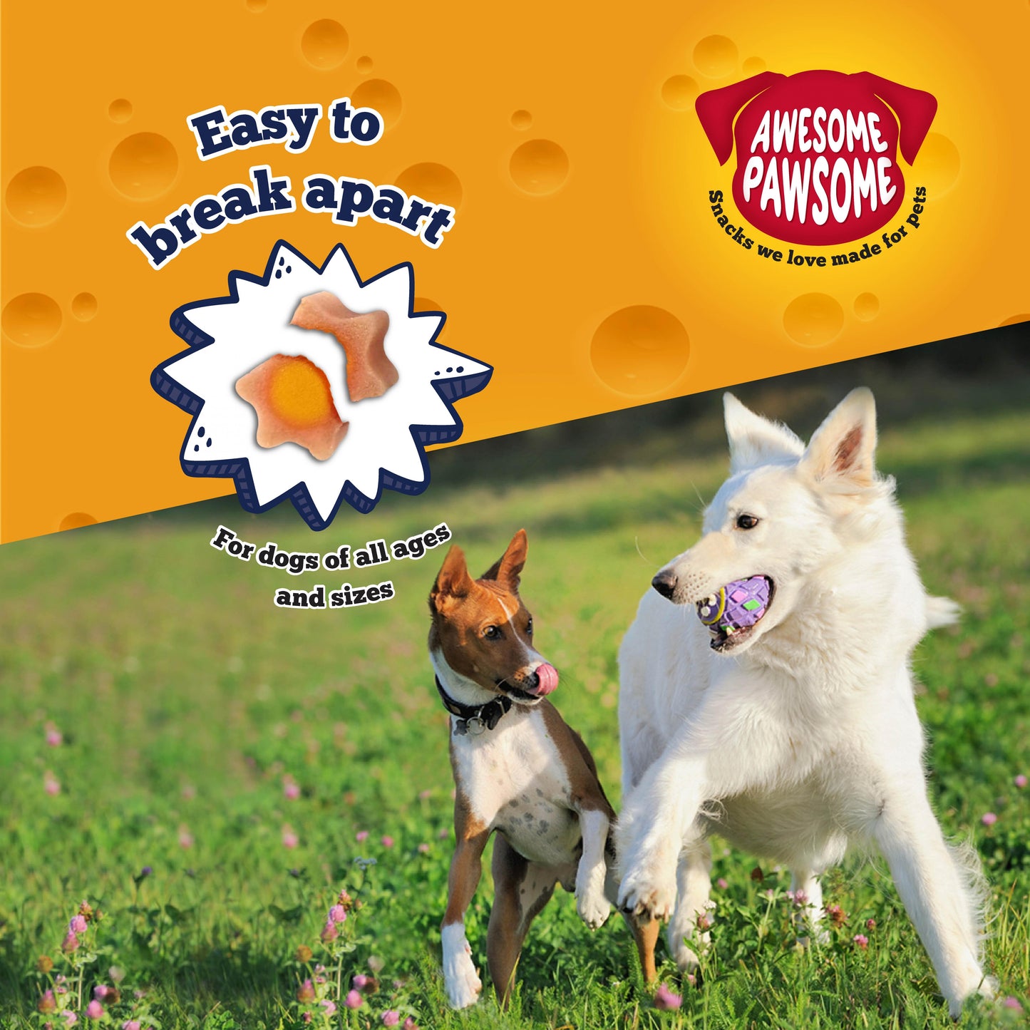 Awesome Pawsome Baconmania Dog  Treats