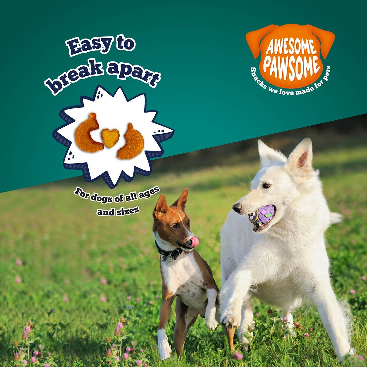 Awesome Pawsome Super Pumpkin Dog Treats