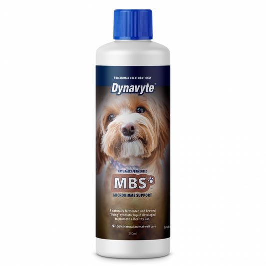 Dynavyte Dog MBS Probiotic Supplement