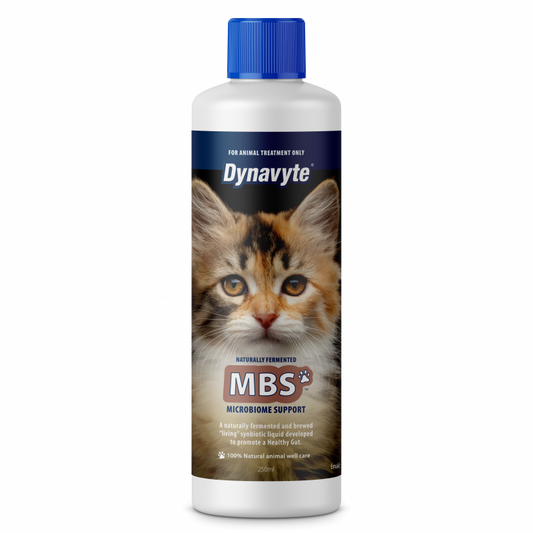 Dynavyte Cat MBS