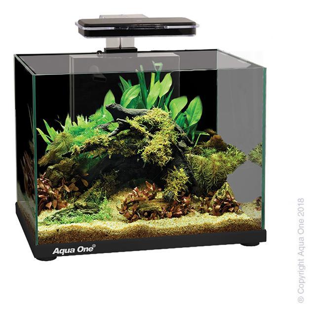 Aqua One Focus Glass Aquarium