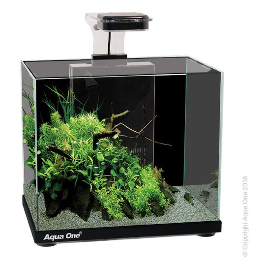Aqua One Focus Glass Aquarium