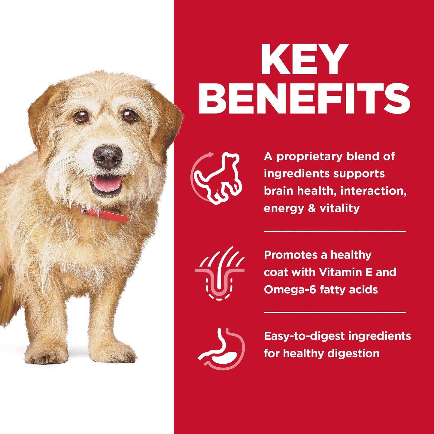 Hill's Science Diet Adult 7+ Senior Vitality Small & Mini Dry Dog Food