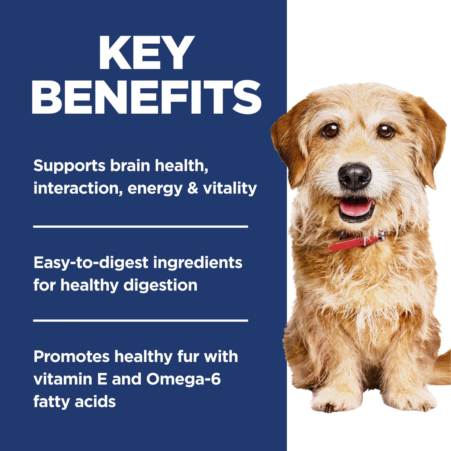 Hill's Science Diet Senior Vitality Small & Mini Adult 7+ Dry Dog Food