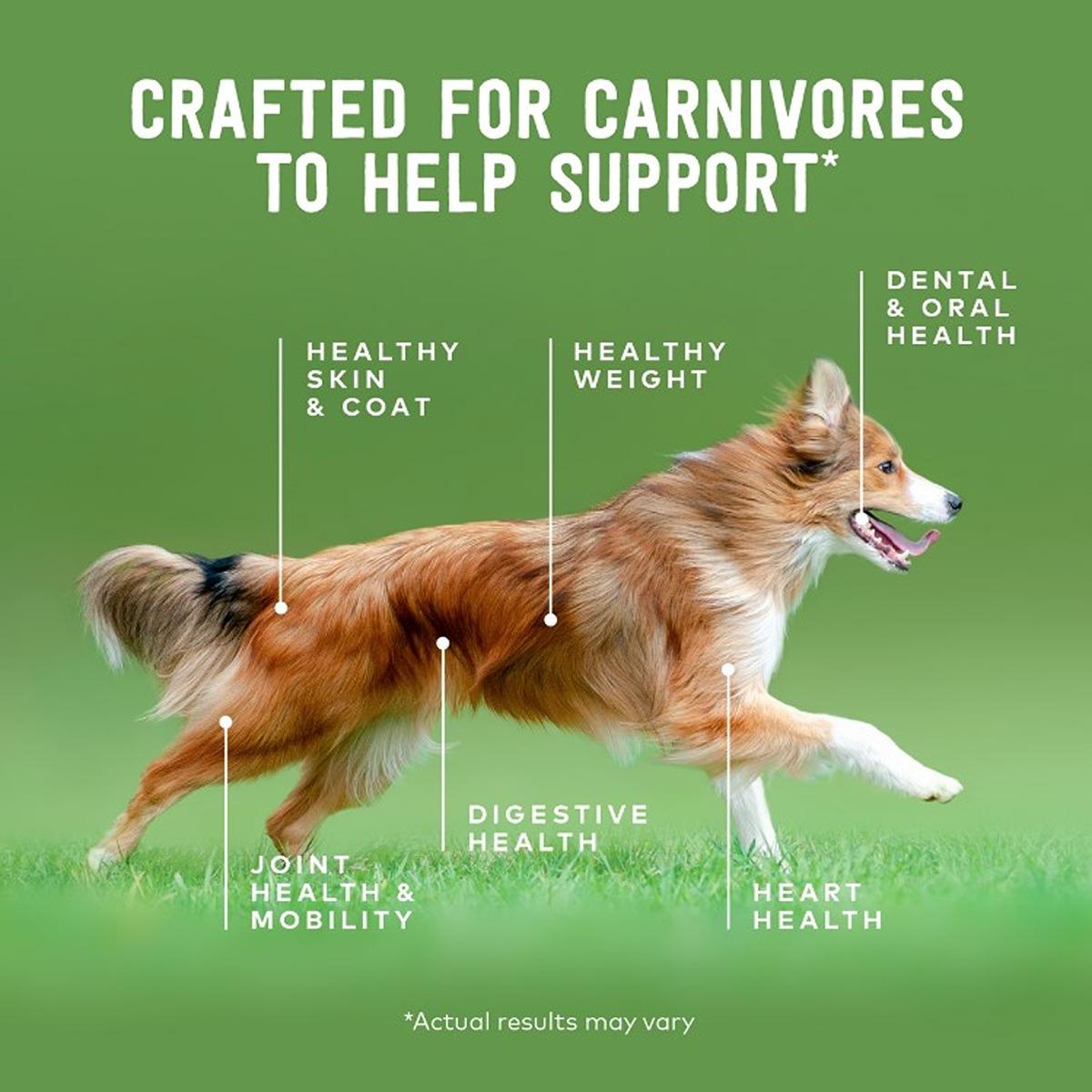 Ziwi Peak Daily Dog Cuisine Lamb Wet Dog Food