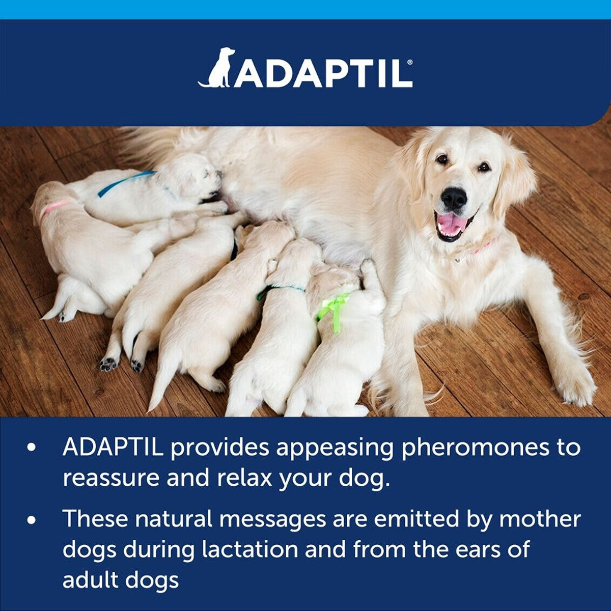 Adaptil Calm Home Diffuser