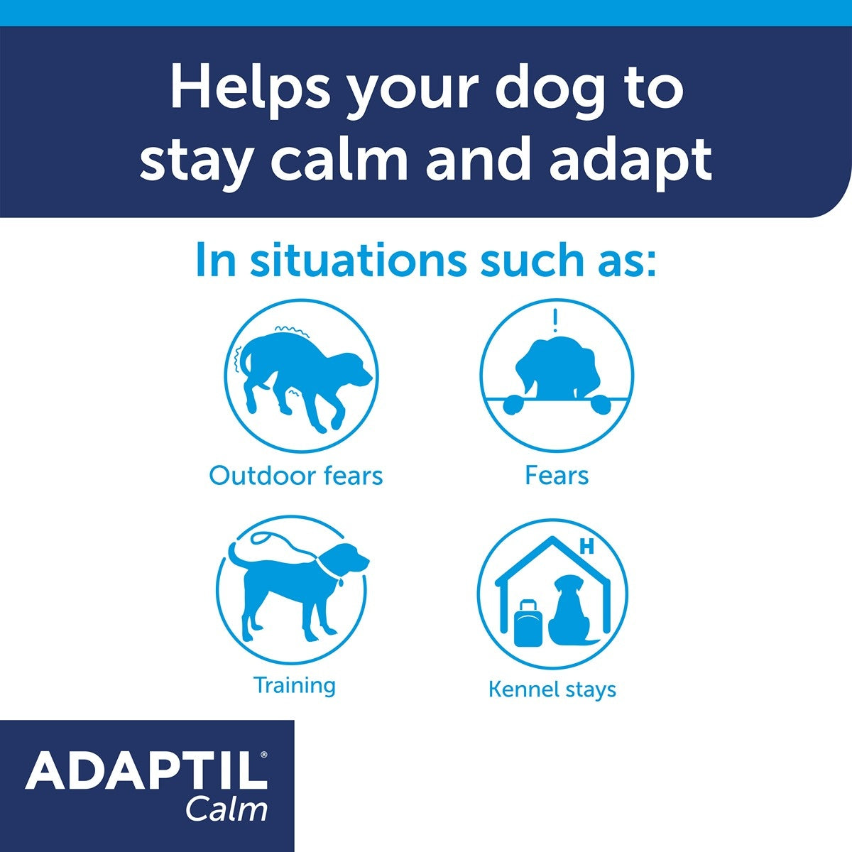 Adaptil Calming Collar for Dogs
