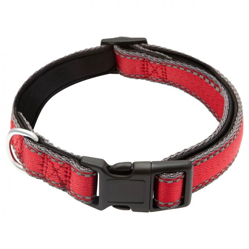 Lexi & Me Nylon Dog Collar