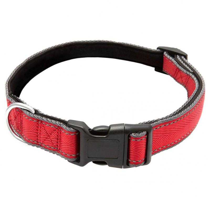 Lexi & Me Nylon Dog Collar