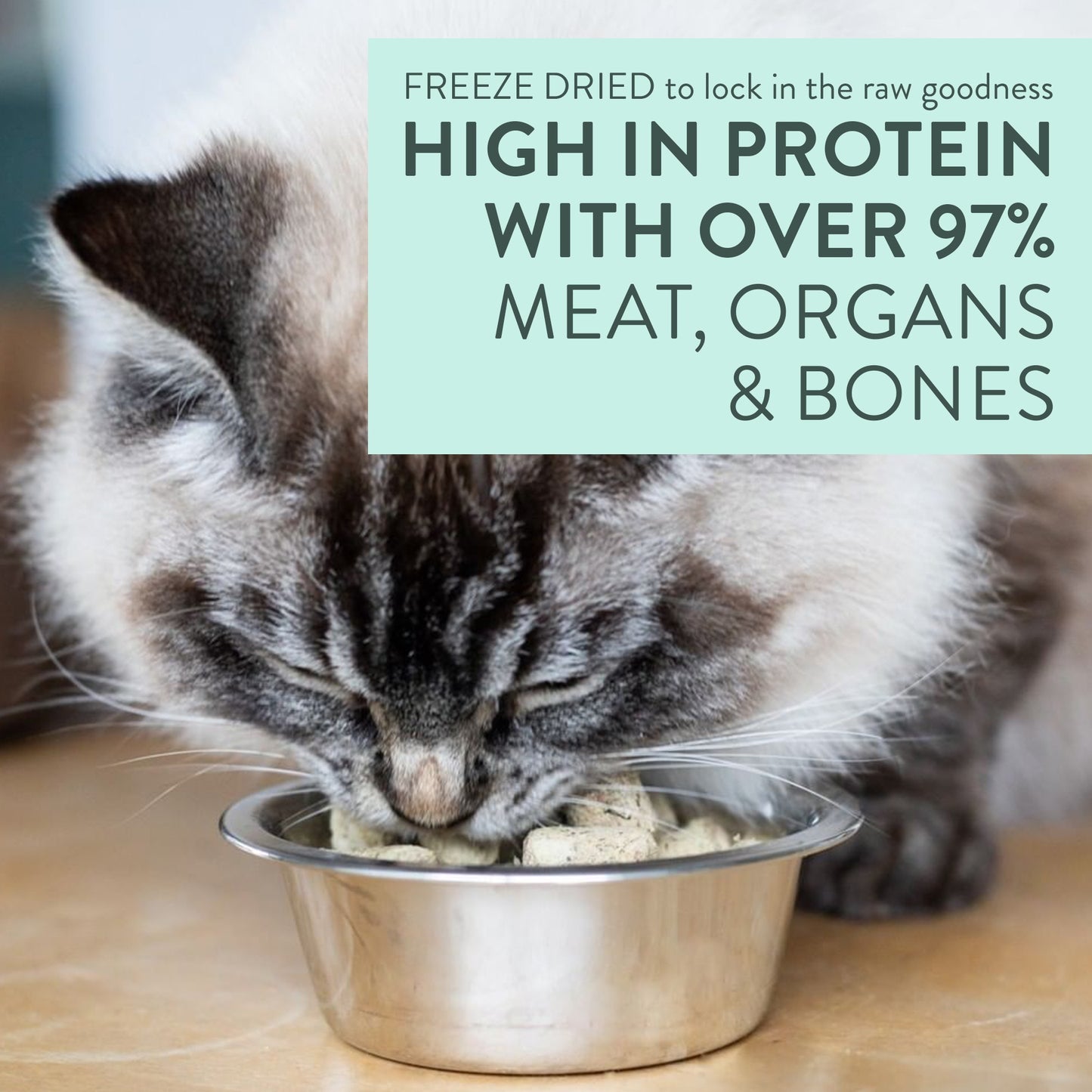 Purr Wild Venison Freeze Dried Cat Treats