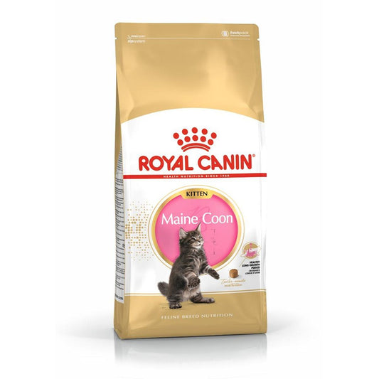 Royal Canin Maine Coon Dry Kitten Food