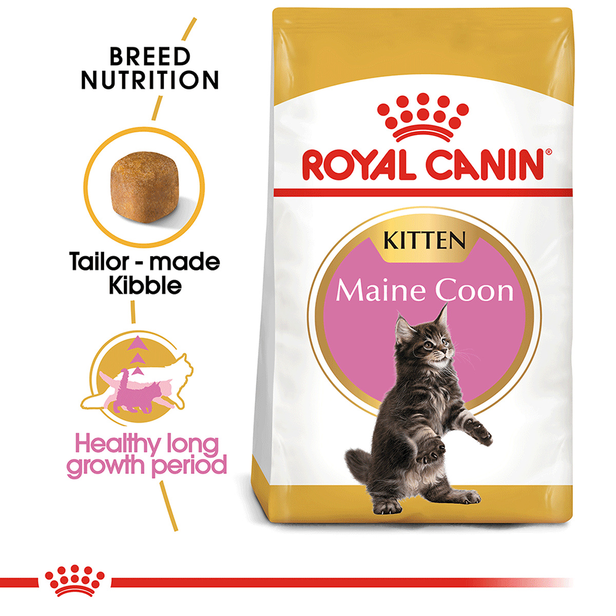 Royal Canin Maine Coon Dry Kitten Food