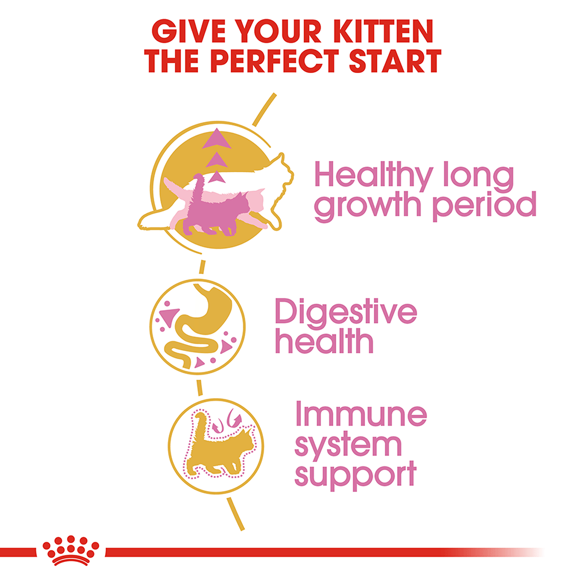 Royal Canin Maine Coon Dry Kitten Food