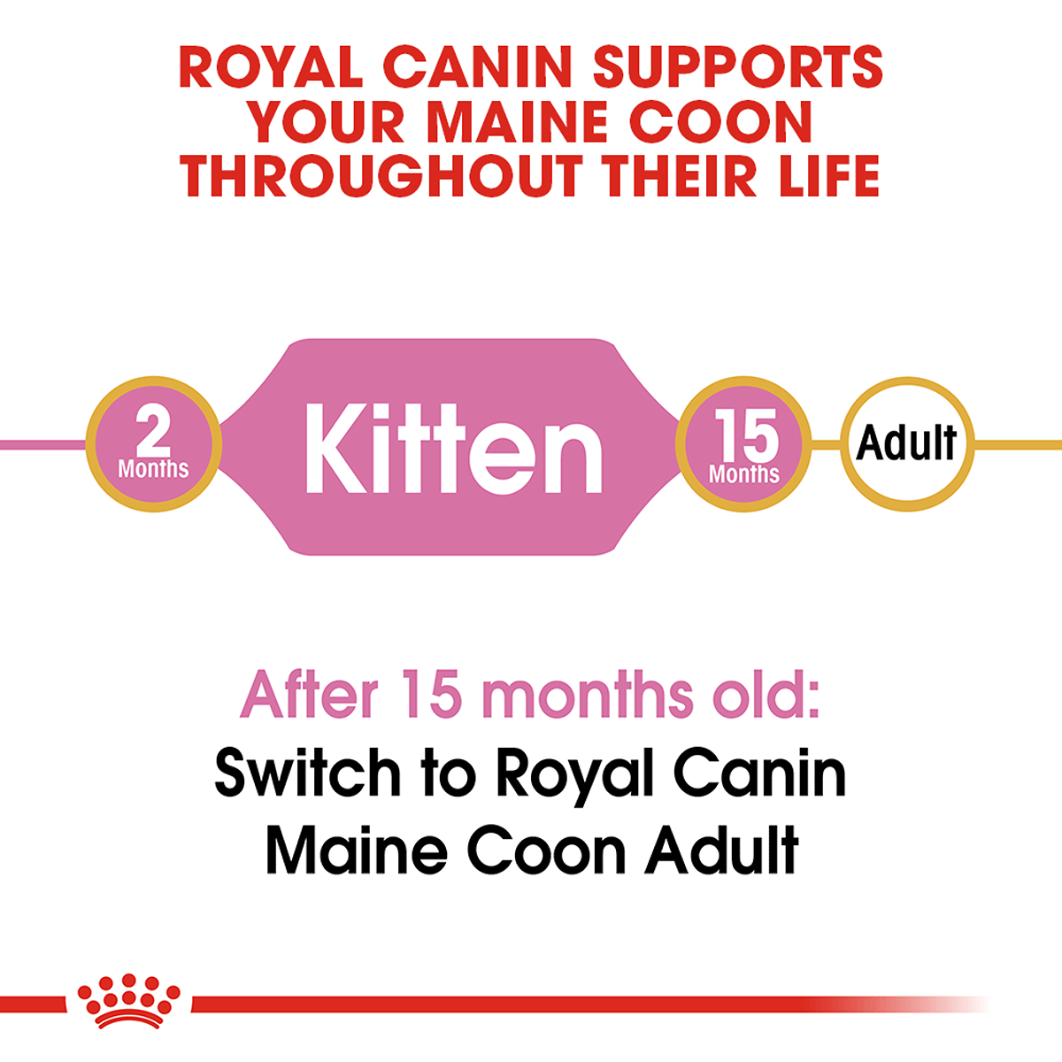 Royal Canin Maine Coon Dry Kitten Food