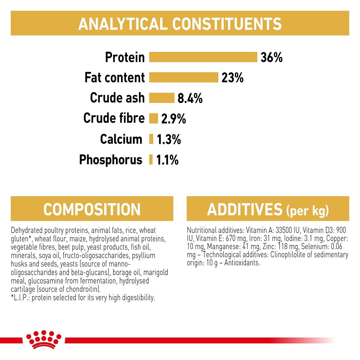 Royal Canin Maine Coon Dry Kitten Food
