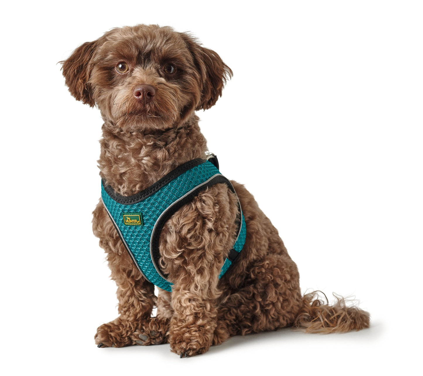 Hunter Hilo Harness for Dogs