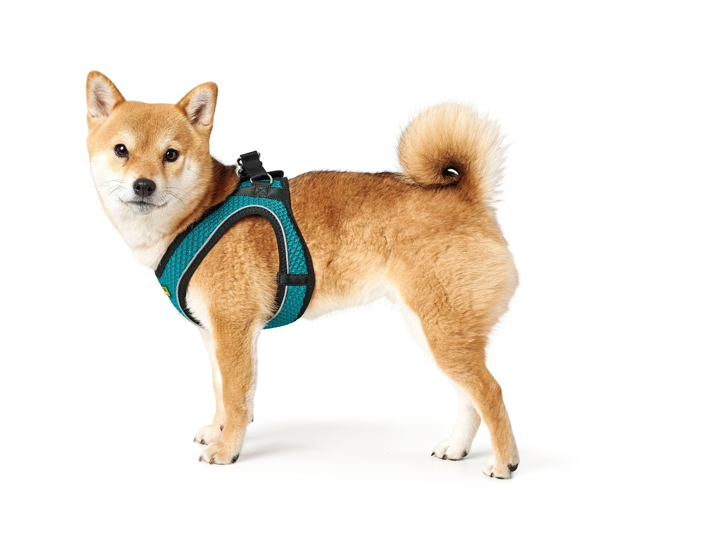 Hunter Hilo Harness for Dogs