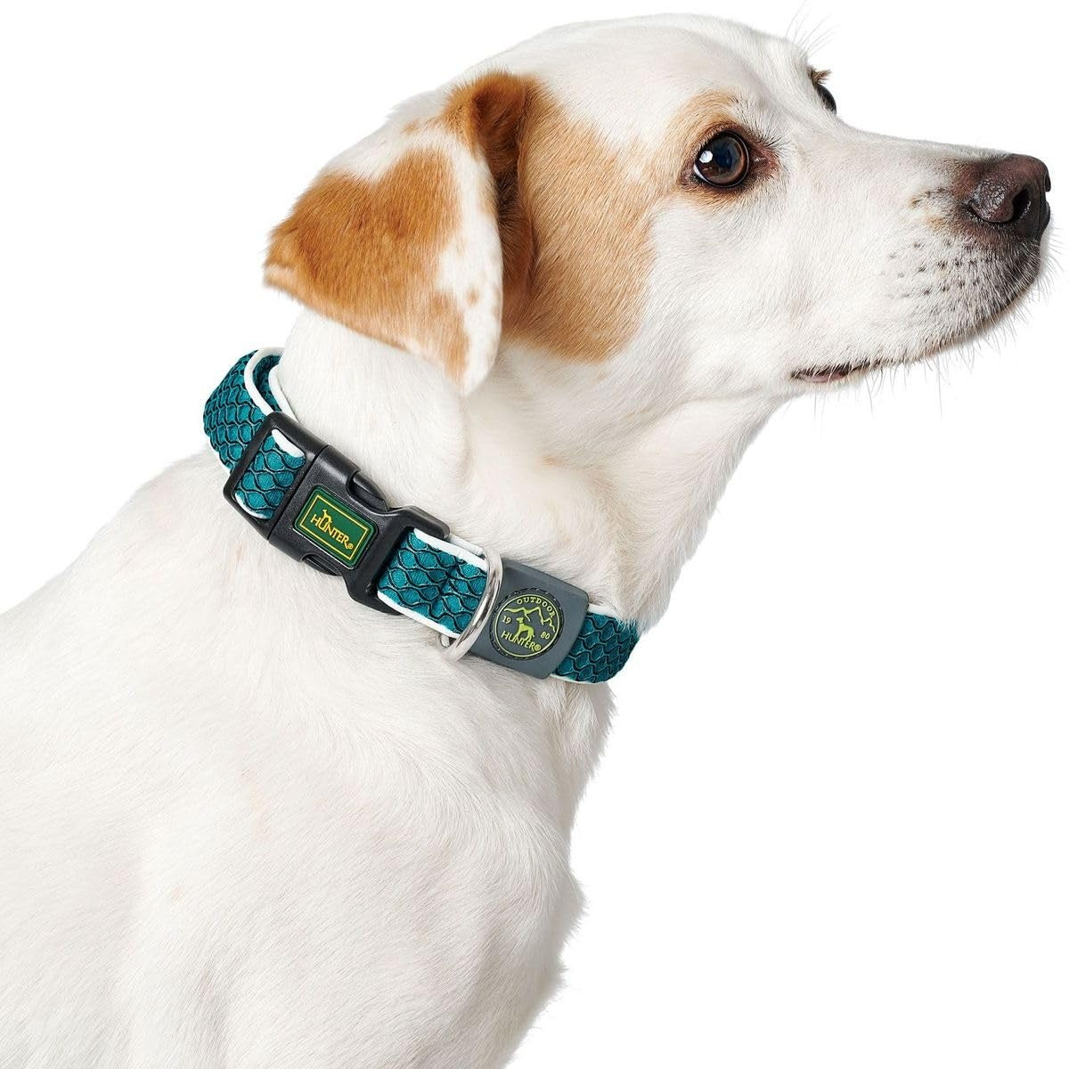 Hunter Hilo Collar