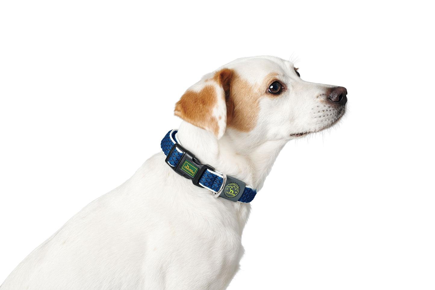 Hunter Hilo Collar