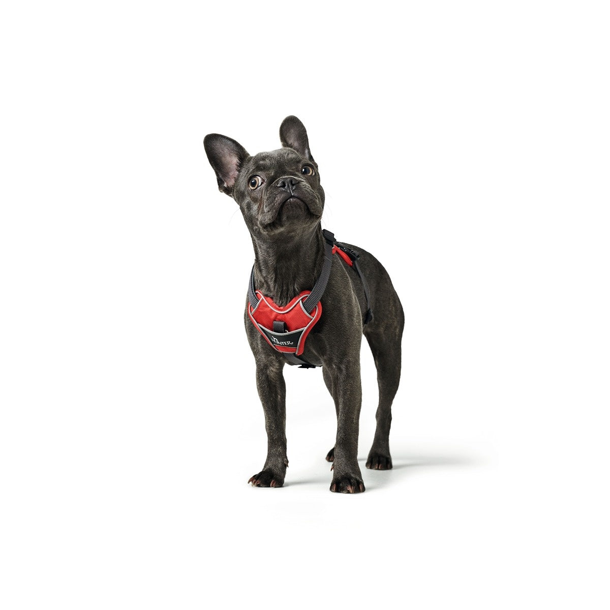 Hunter Divo Ergonomic Dog Harness