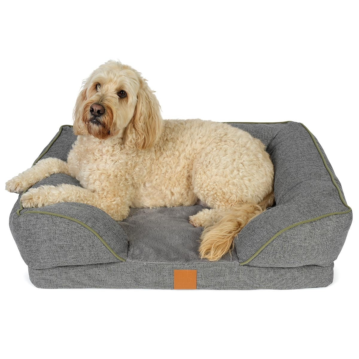 Buddy & Belle Ortho Lounge Dog Bed