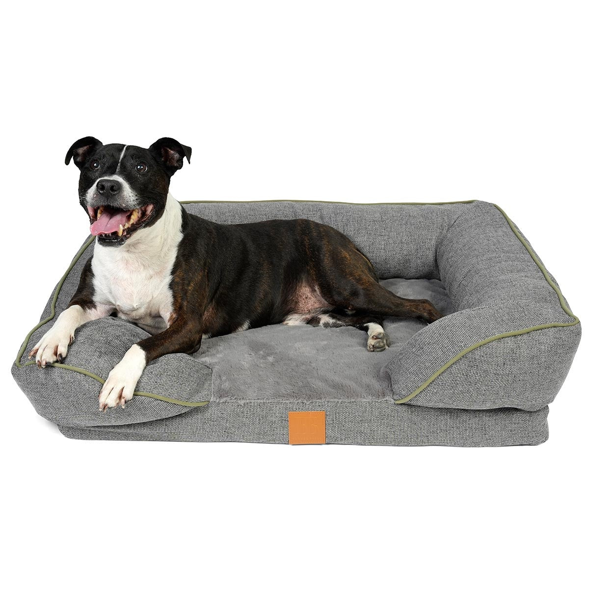 Buddy & Belle Ortho Lounge Dog Bed
