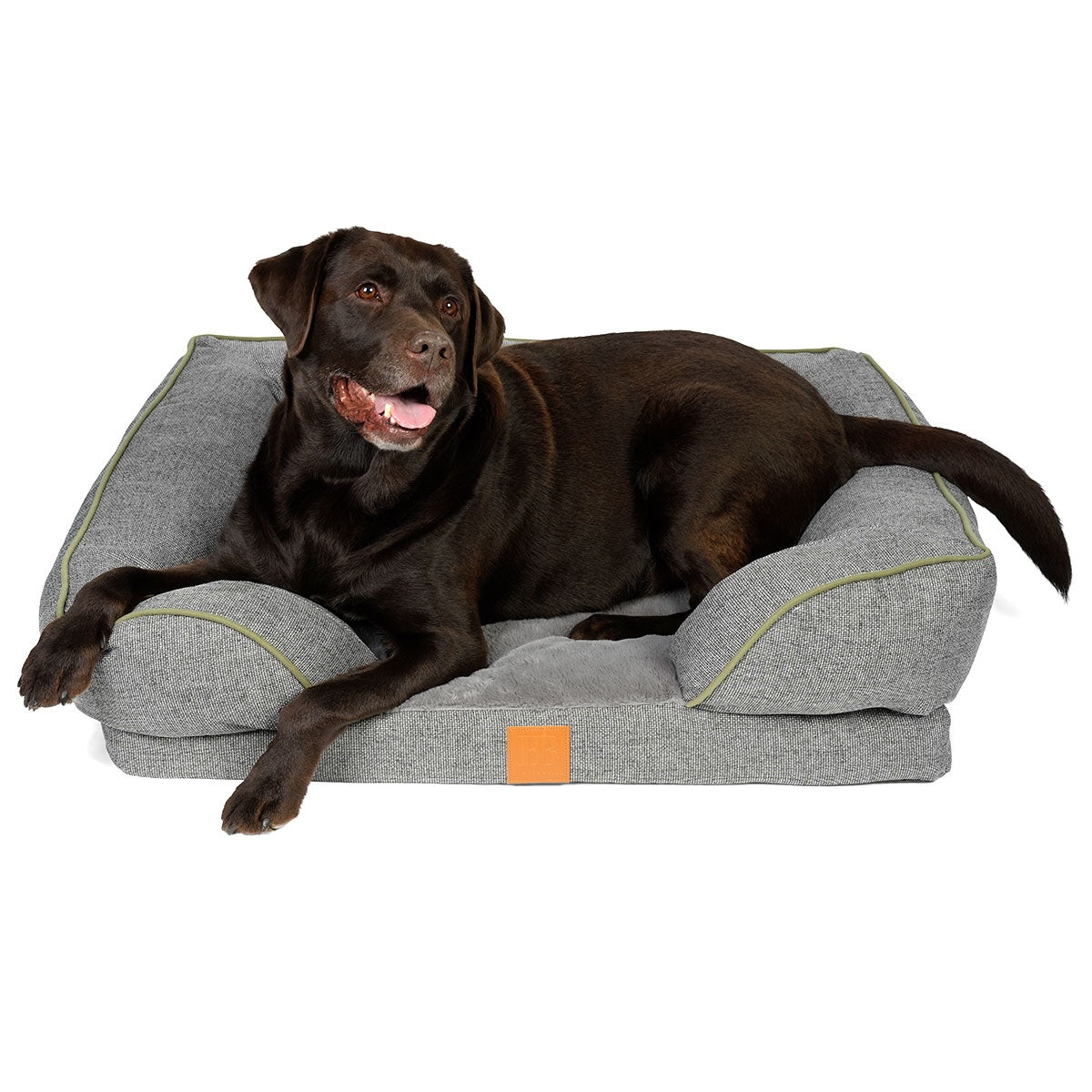 Buddy & Belle Ortho Lounge Dog Bed