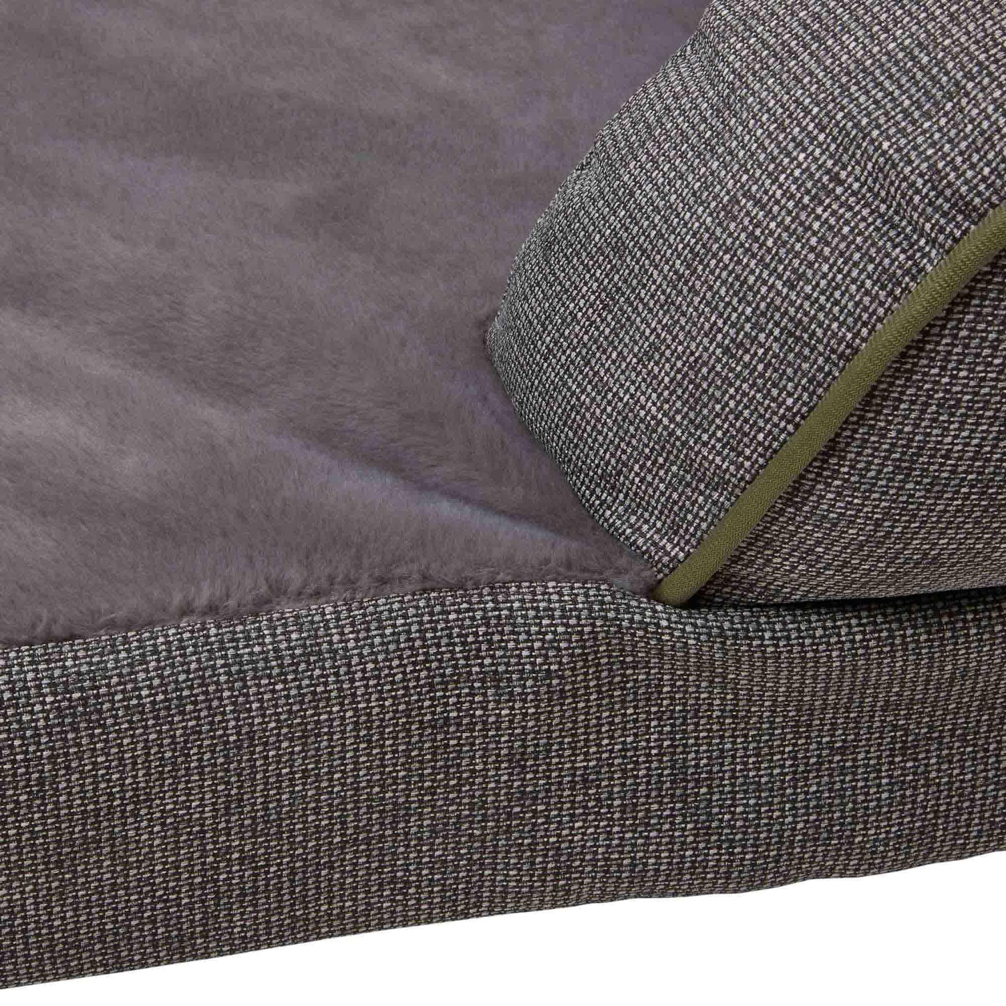Buddy & Belle Ortho Lounge Dog Bed
